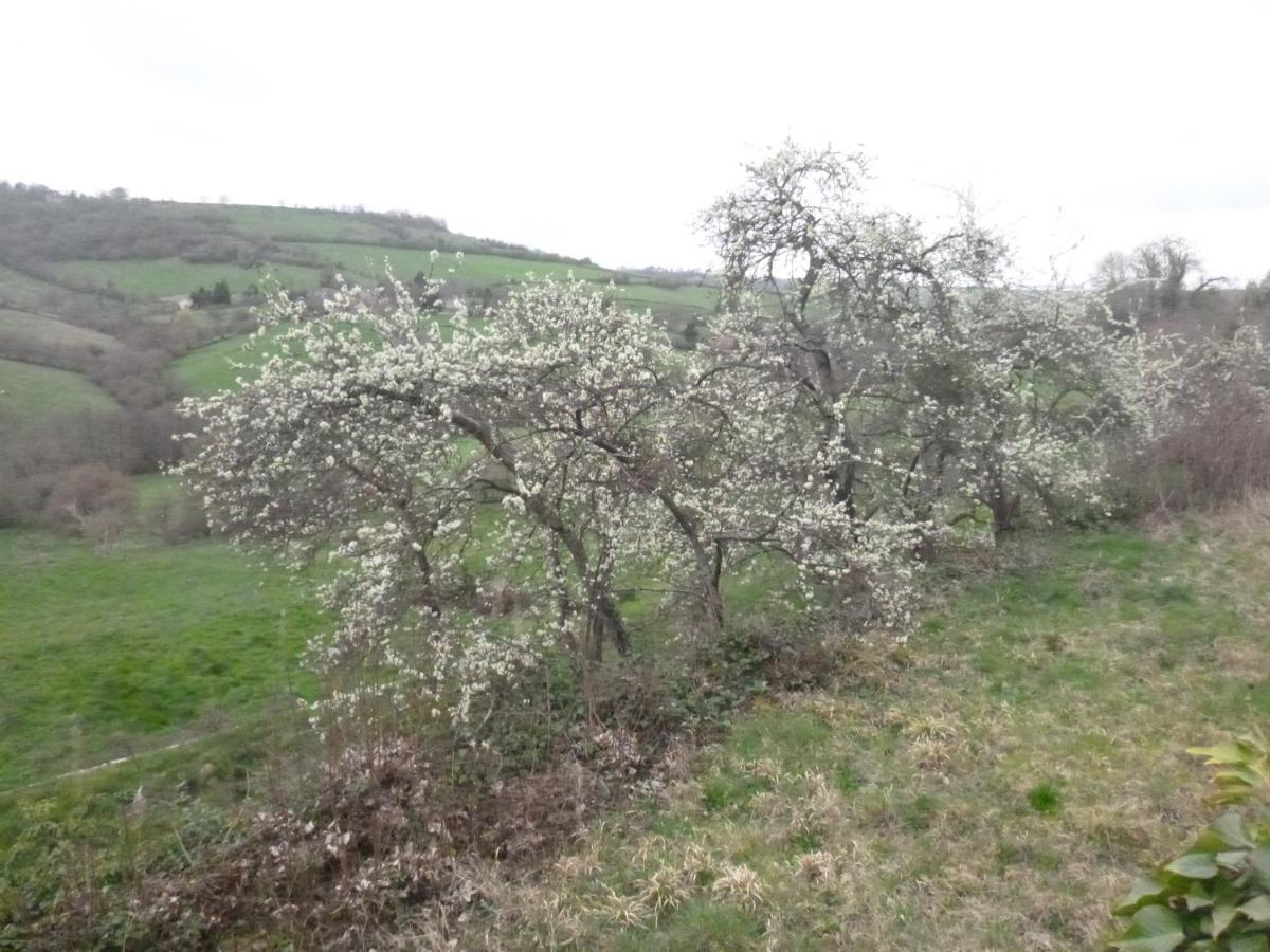 La Maison Des Fleurs Montembœuf Dış mekan fotoğraf