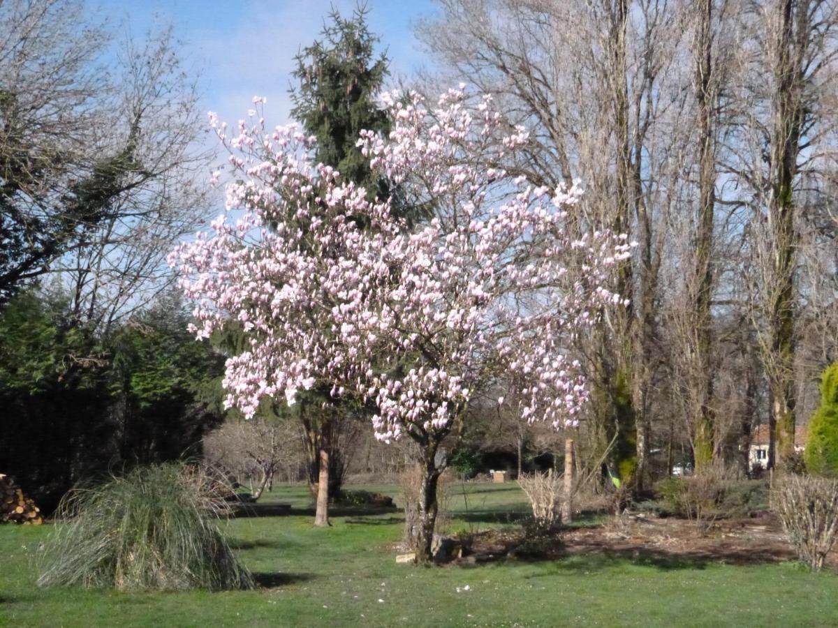 La Maison Des Fleurs Montembœuf Dış mekan fotoğraf